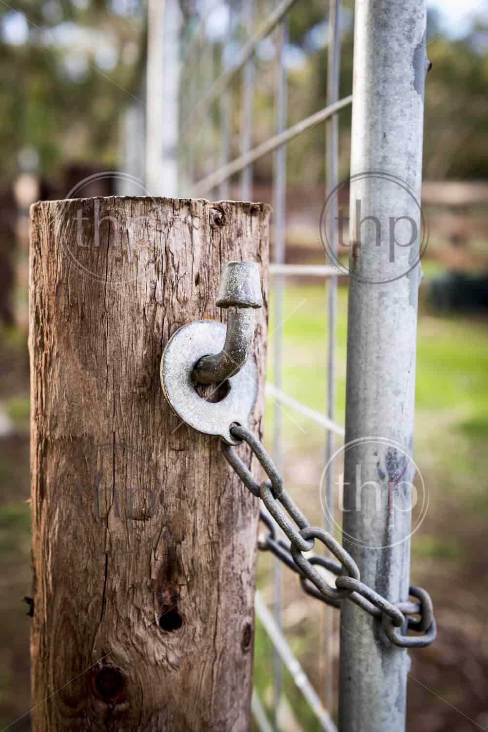 Classic Australian Farm Gate Lock On A Wooden Post THPStock   Farm Gate Lock 