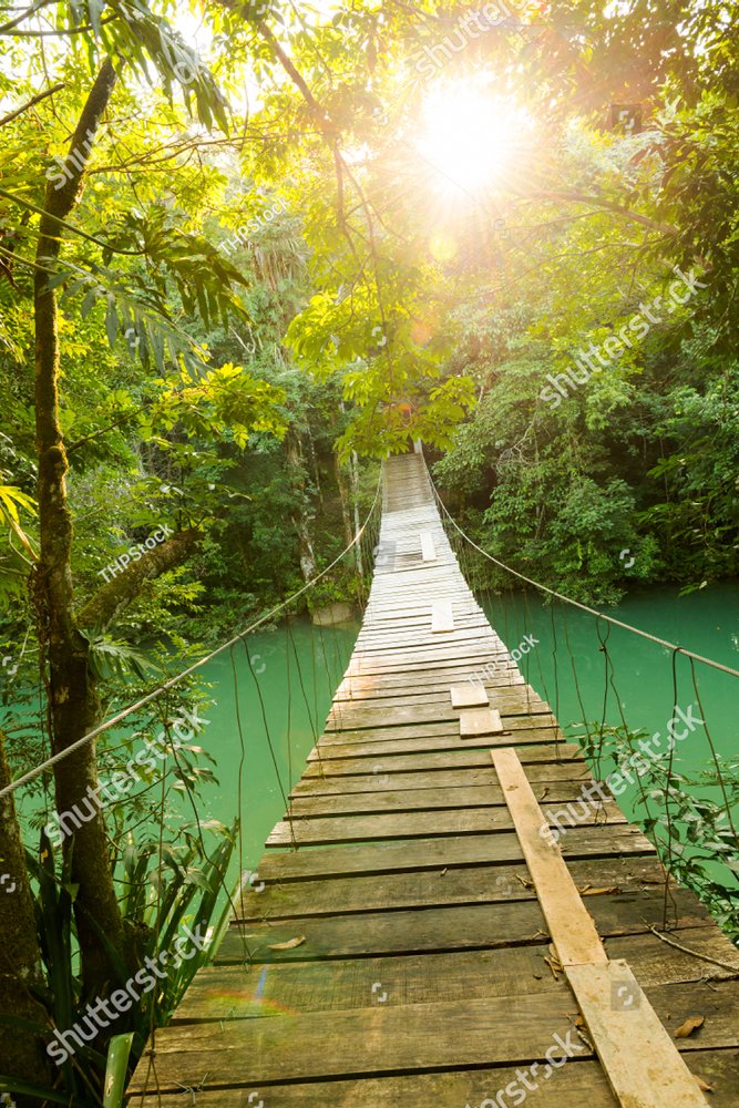 Travel Man On Bridge Over Beautiful Forest River by Stocksy Contributor  Aila Images - Stocksy